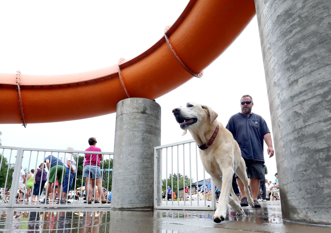 2015 Diggity Dog Dip